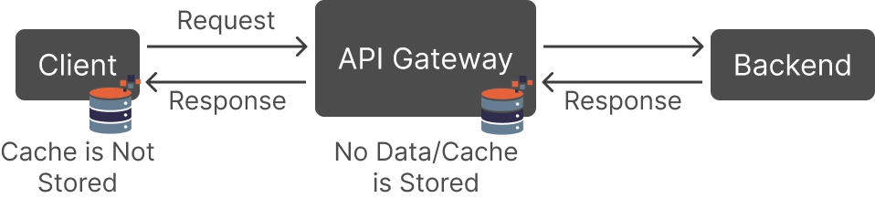 API Response Caching, Cache Control No Cache